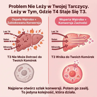 Elty Tarczyca Harmony